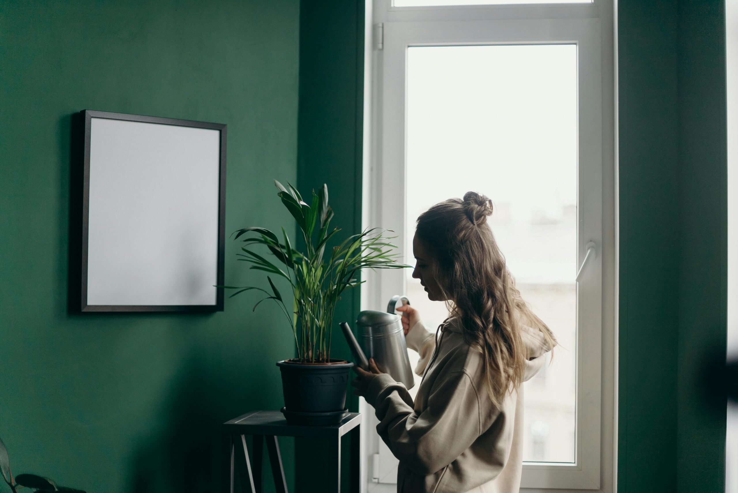 pexels cottonbro 4065167